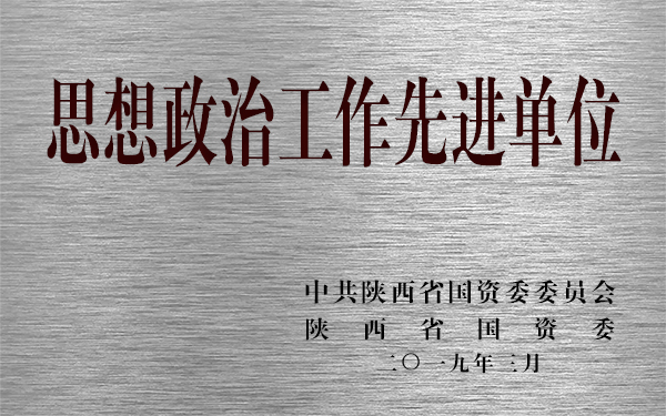 公司獲陜西省國資委2018年度思想政治工作先進單位